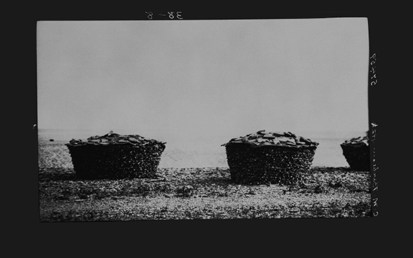 Javelles de morues séchées sur la plage à Grand Étang,1922, Musée canadien de l’histoire, Fonds Marius Barbeau, 57459.