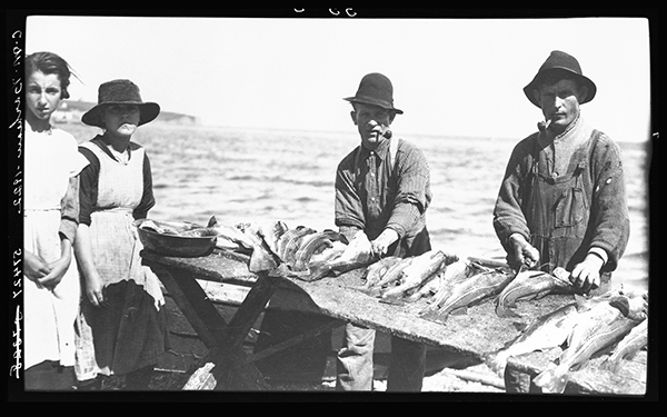 Pêcheurs coupant des morues au bord de l'eau à Port-Daniel, Gaspésie, 1922, Musée canadien de l’histoire, Fonds Marius Barbeau, 57427.