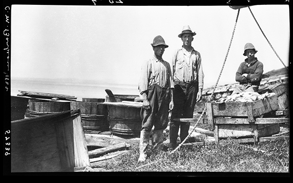 Trois hommes halant des poissons à partir du rivage à Indian Cove, Gaspésie, 1922, Musée canadien de l’histoire, Fonds Marius Barbeau, 57339.