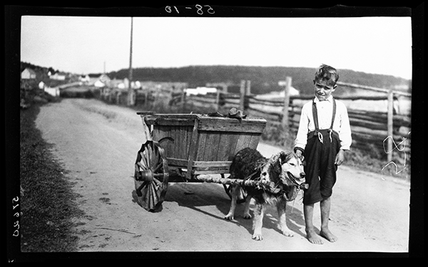 Armand Grenier, un jeune garçon accompagnant son chien attelé à une charrette, Newport, Gaspésie, 1922, Musée canadien de l’histoire, Fonds Marius Barbeau, 57620.