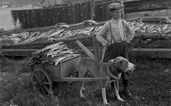 Garçon avec charrette à chien et morue. (Office national du film), PA -801638, Bibliothèque et Archives Canada.