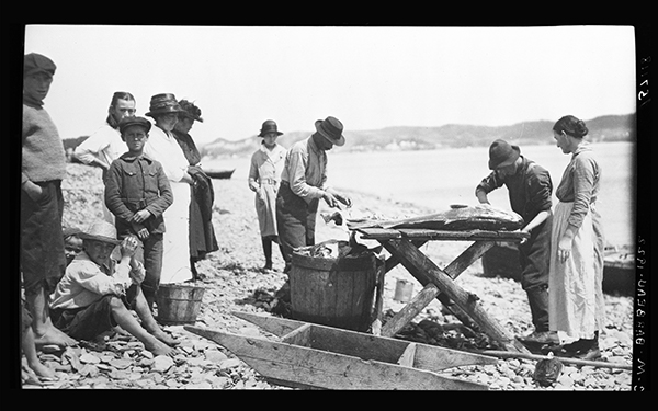 Pêcheur coupant des morceaux d'une grande morue à Port-Daniel, Gaspésie, 1922, Musée canadien de l’histoire, Fonds Marius Barbeau, 57118.