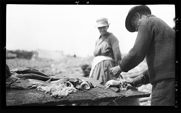 Pêcheur coupant des morceaux de morue à Port-Daniel, Gaspésie, 1922, Musée canadien de l’histoire, Fonds Marius Barbeau, 57157.